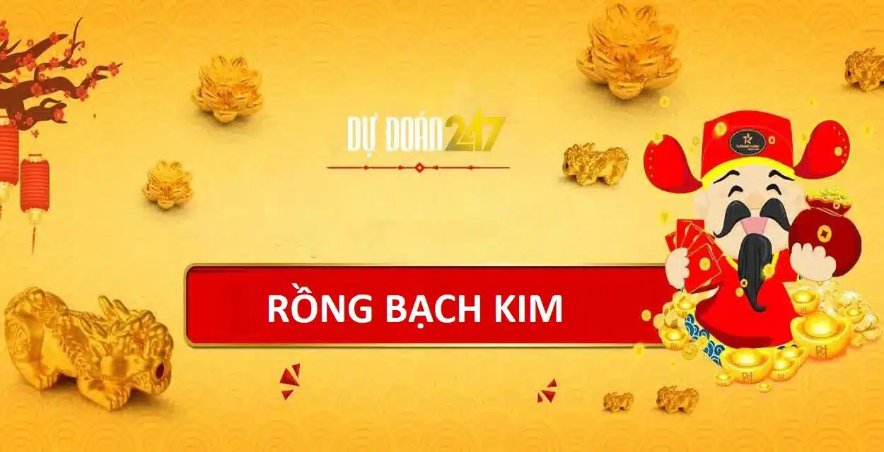 Các loại Rồng Bạch Kim 247 phổ biến tại bk8