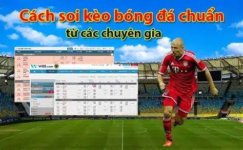 Lưu ý khi soi kèo nhà cái tại bk8