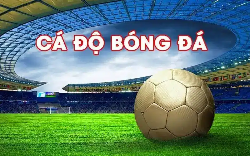 Những điều cần lưu ý khi cá độ bóng đá half time