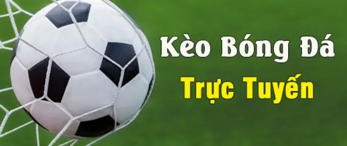 Giới thiệu về kèo cá cược trực tuyến tại bk8