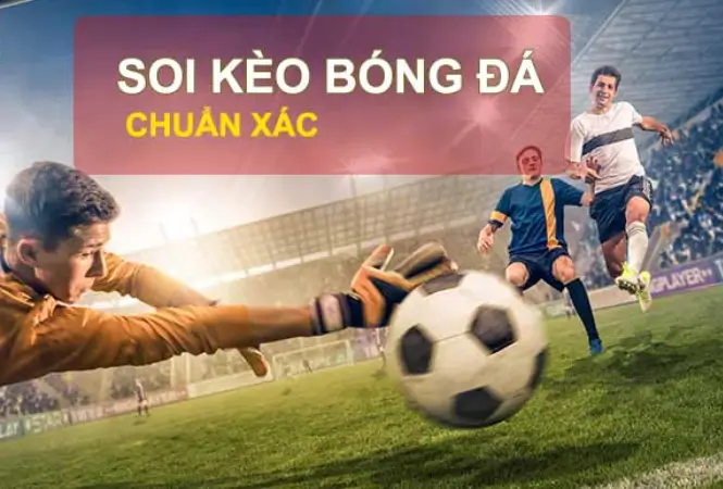 Những lưu ý khi sử dụng nhận định bóng đá kèo nhà cái tại bk8