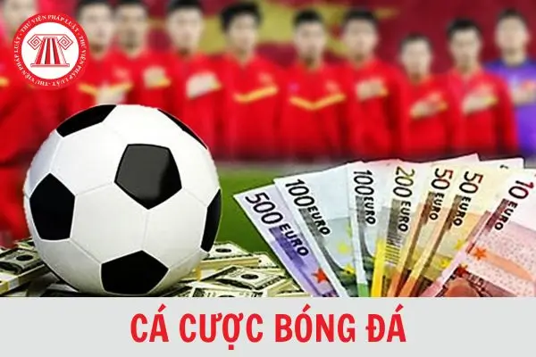 Những lưu ý của cá cược tại bk8