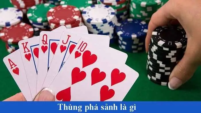 Giới thiệu về chơi xì tố tại bk8