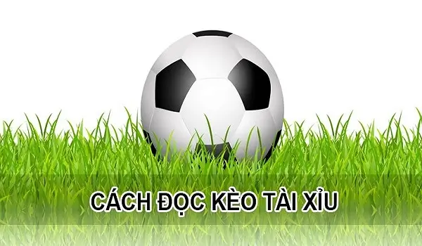 Giới thiệu về tai xiu 21/4 tại bk8