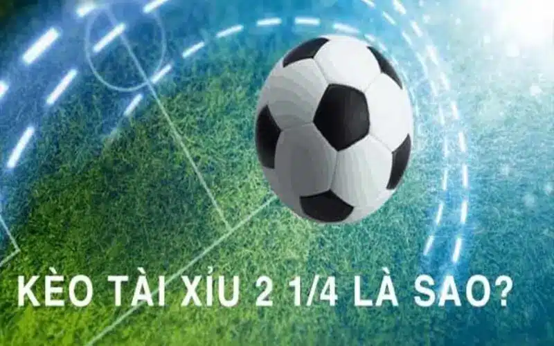 Các mẹo và lưu ý khi chơi tai xiu 21/4 tại bk8