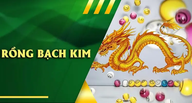 Tổng quan về Rồng Bạch Kim Kết Quả tại bk8