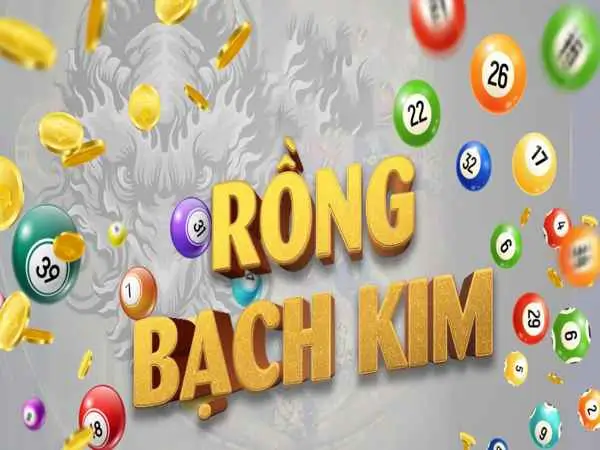 Lựa chọn nhà cái uy tín để chơi Rồng Bạch Kim Kết Quả tại bk8